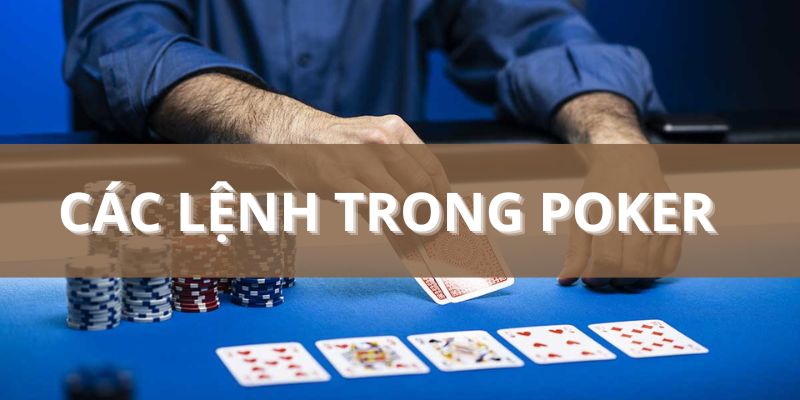 Các lệnh trong Poker thường gặp mà bet thủ phải nắm rõ