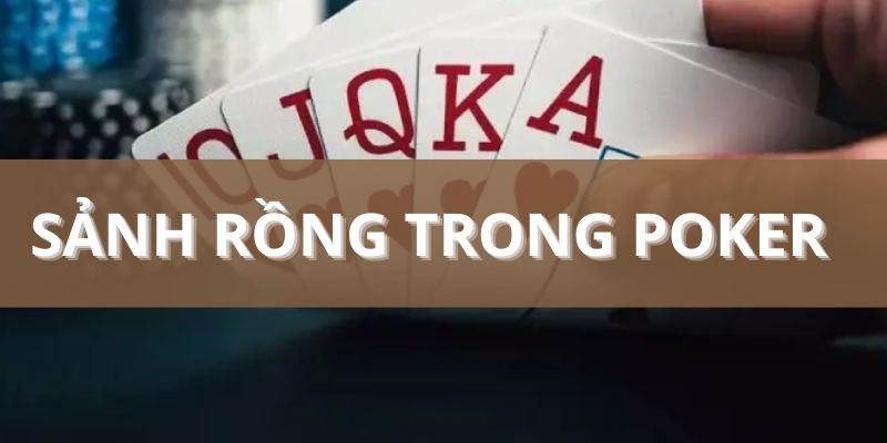 Sảnh rồng trong Poker là gì? Khái niệm và luật đánh chuẩn